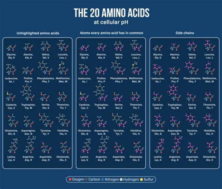 Are all amino acids levorotatory?