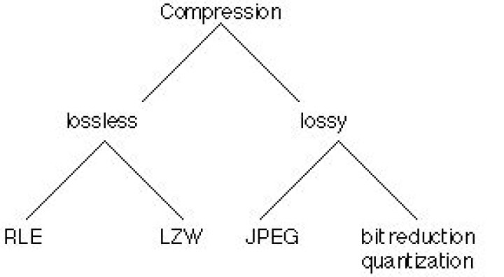 Are bmp lossy or lossless?