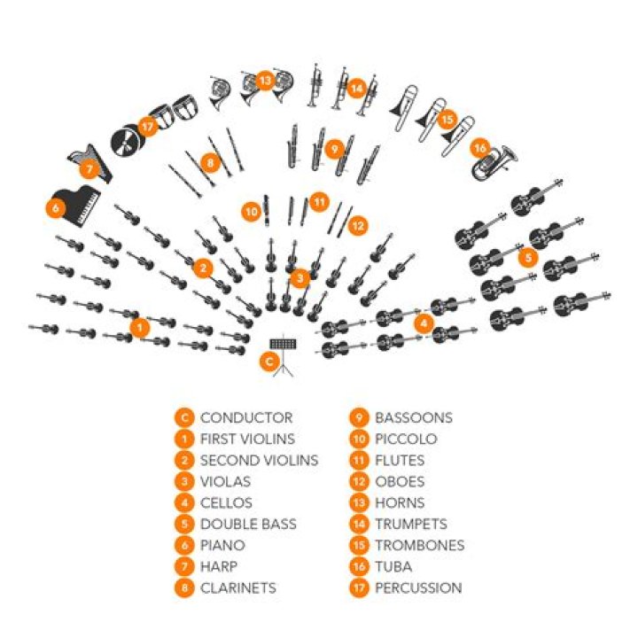 Are there clarinets in an orchestra?