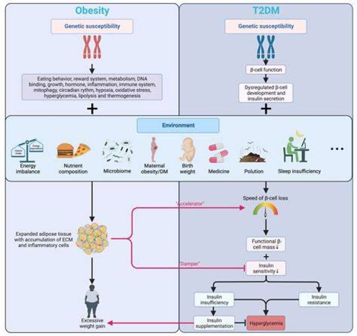 Can trichloroethylene cause diabetes?