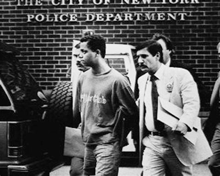 Did matias reyes dna match?