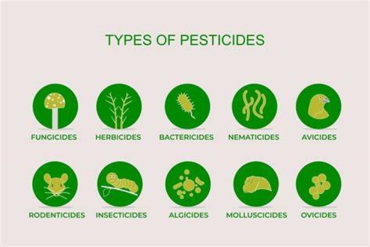 Do fungicides kill birds?