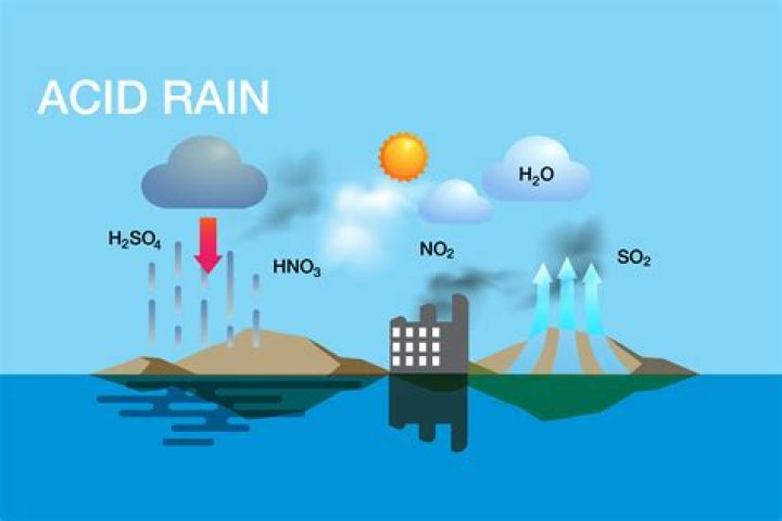 Does acid rain contains sulphuric acid?