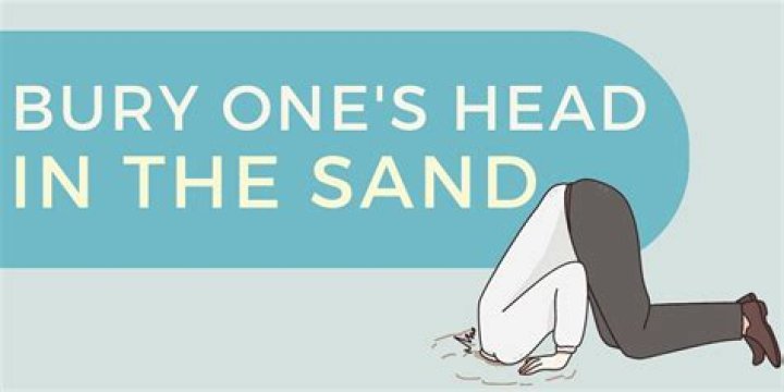 How bury head in the sand?