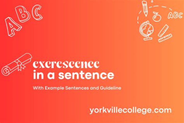 How do you use excrescence in a sentence?