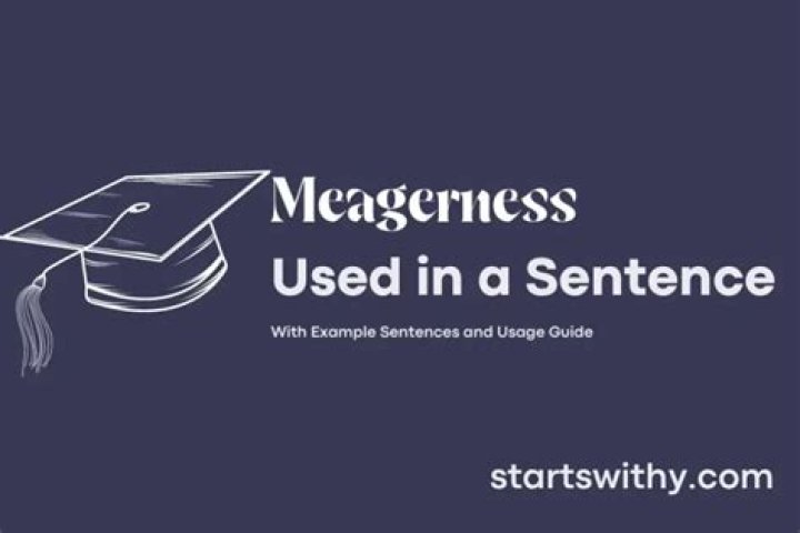 How do you use meagerness in a sentence?