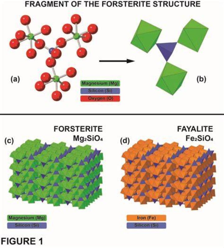 How fayalite is formed?