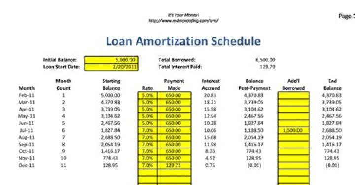 How to amortize loan fees?