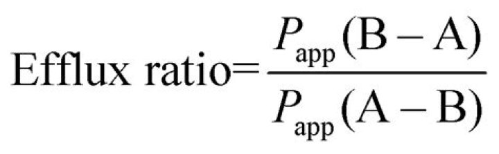 How to calculate efflux ratio?