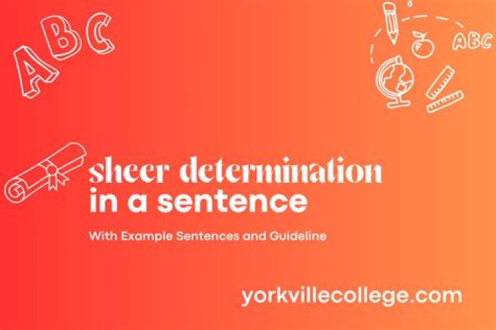 How to use sheer in sentence?