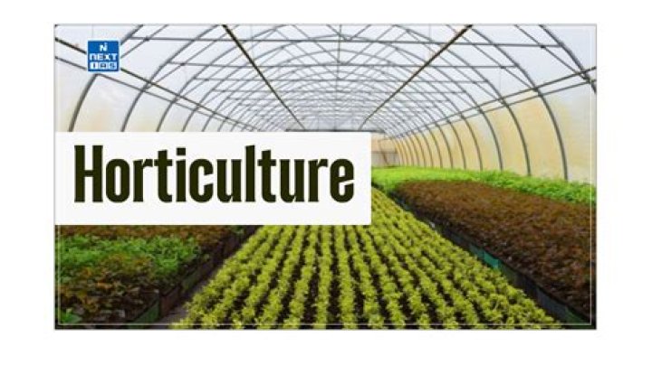 In horticulture what is division?