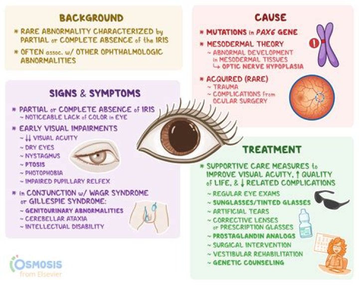 Is aniridia a genetic disorder?