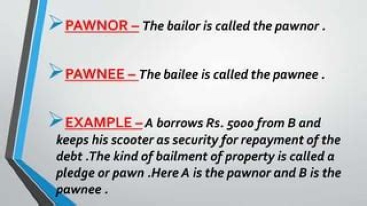 Is pawnor a word?