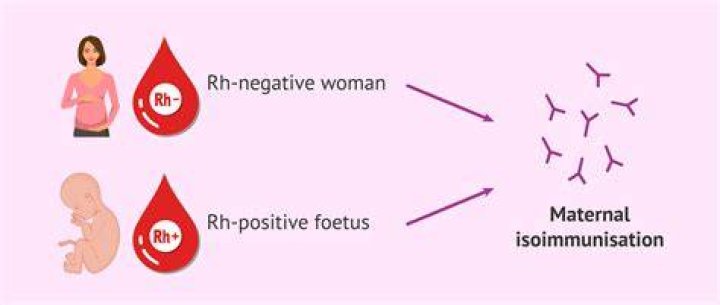 Is rh negative immune to diseases?