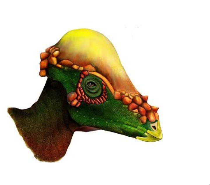 Was pachycephalosaurus a theropod?