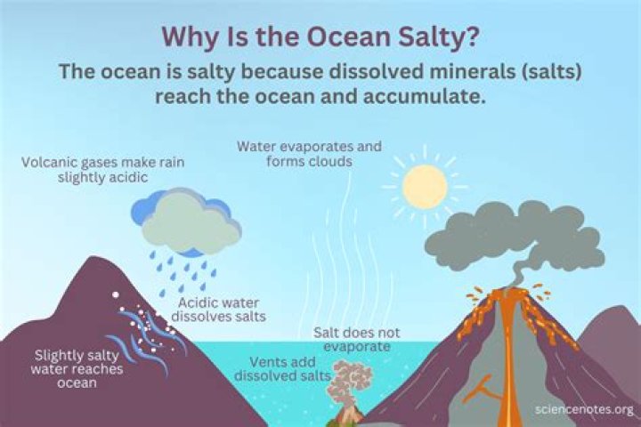 Was the sea salty?