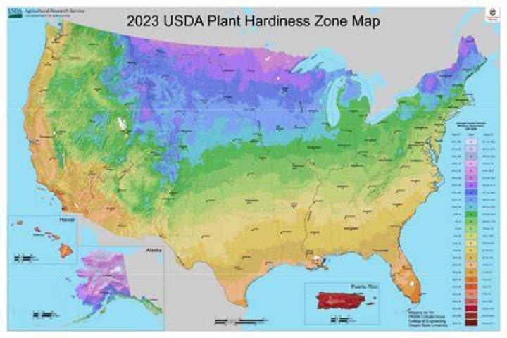 What are hardiness zones?