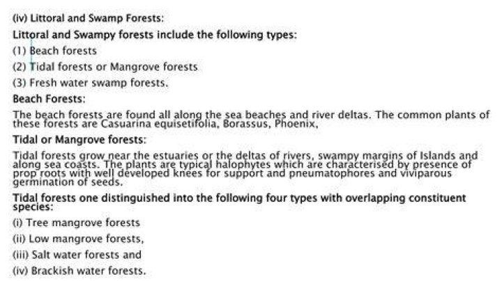 What are littoral forest?