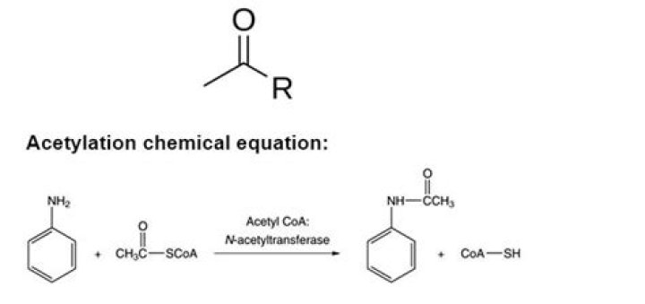 What are the example of acetylating agent?