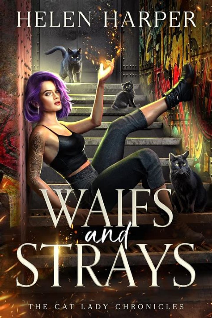 What do waifs and strays mean?