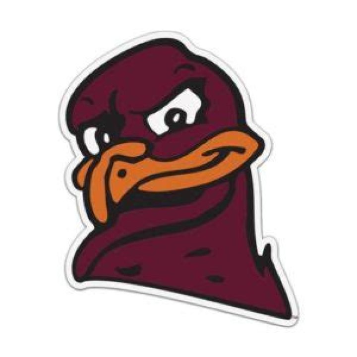 What does hokie mean in slang?