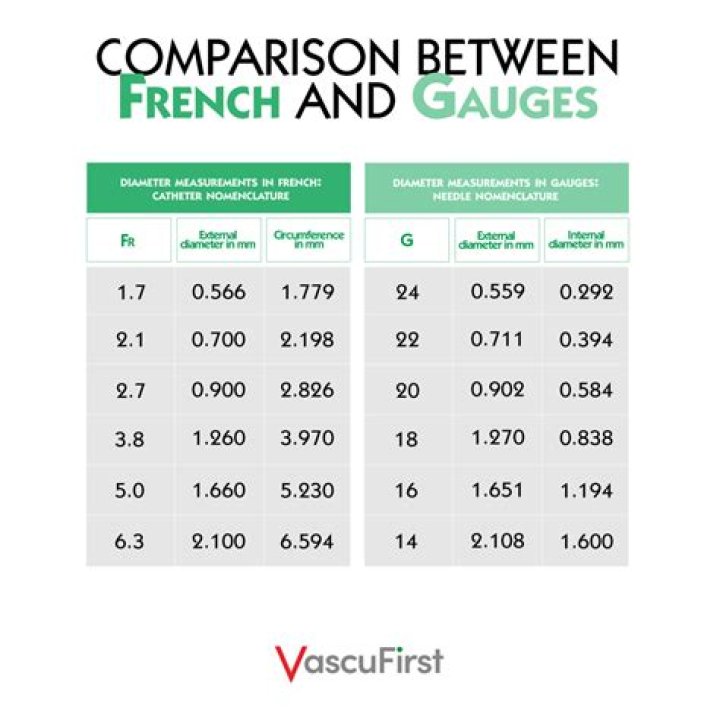 What does jamil mean in french?