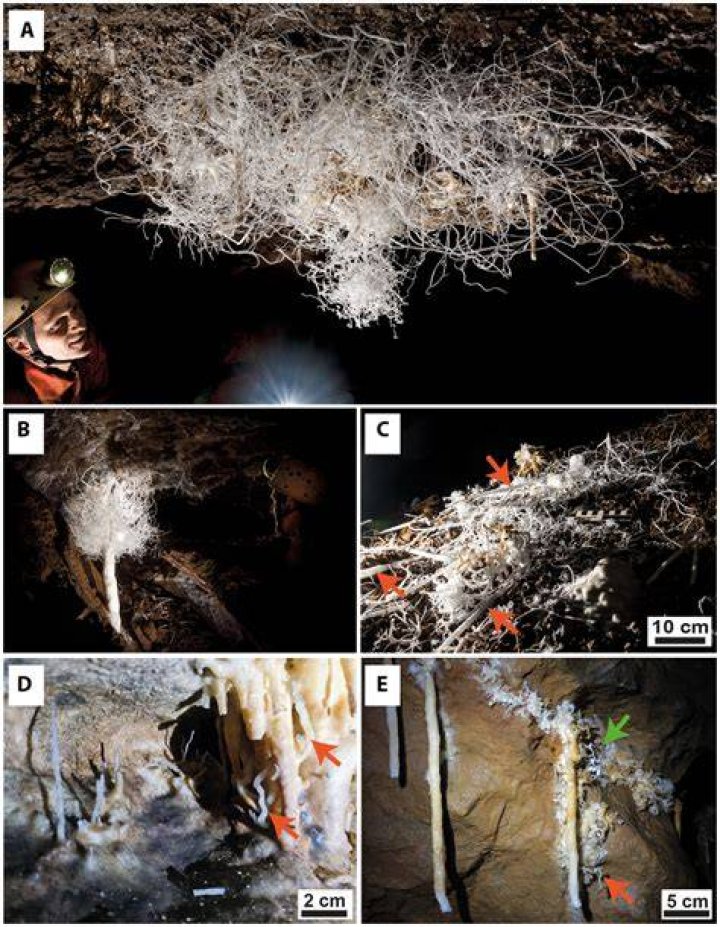 What is helictite geology?