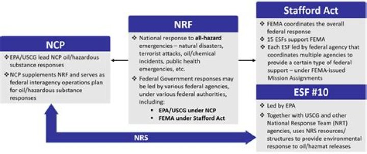 What is the stafford act?