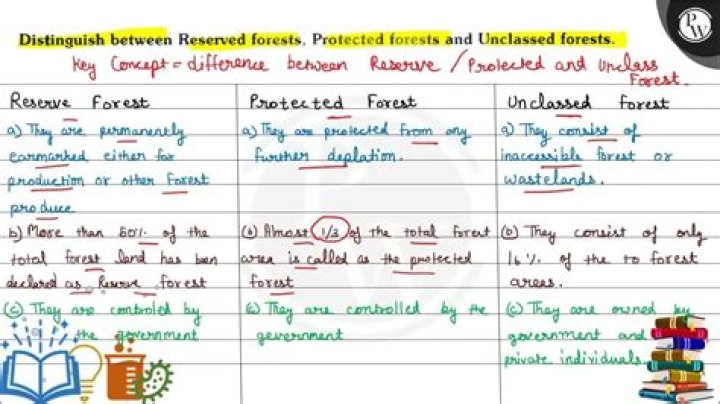 What is unclassified forest?