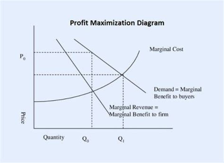 What output is profit maximised?