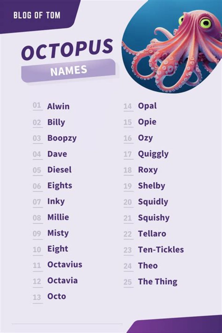 Whats a good name for an octopus?