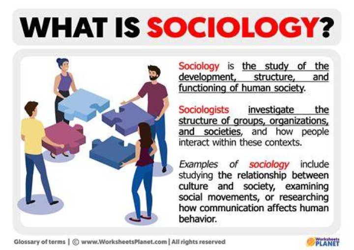 Whats a sociological theory?