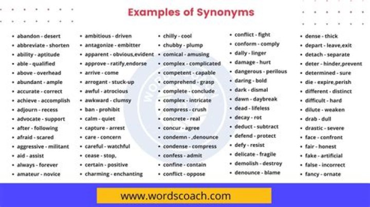 Whats a synonym for worrier?