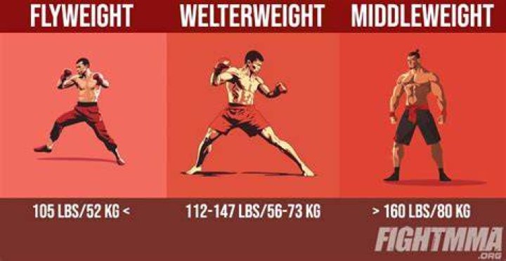 When is flyweight used?