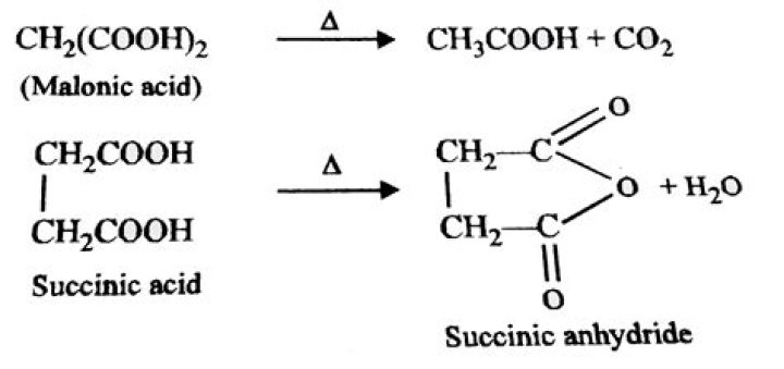 Where can succinic acid be found?