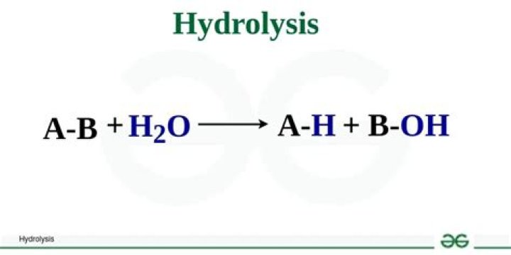 Where does hydrolysis occur in the body?