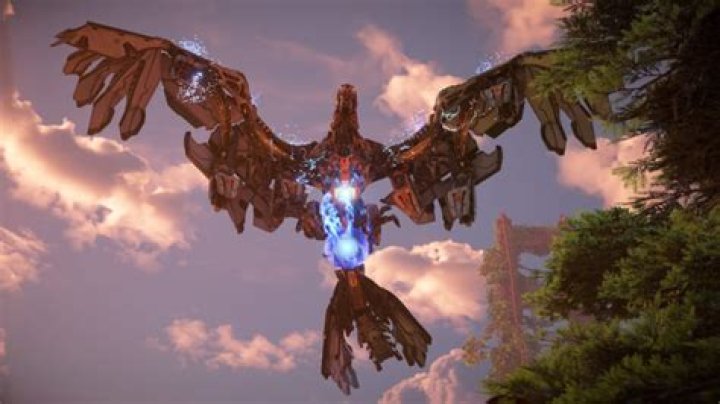 Where to find stormbirds?