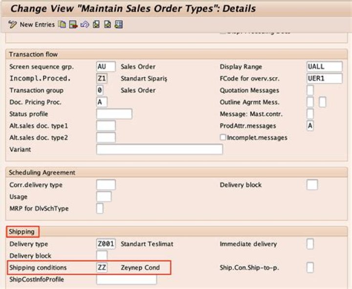 Where we maintain shipping condition in sap?