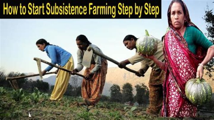 Who is the subsistence farming?