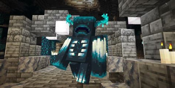 Who is warden in minecraft?