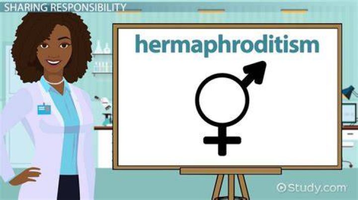 Who was born a hermaphrodite?