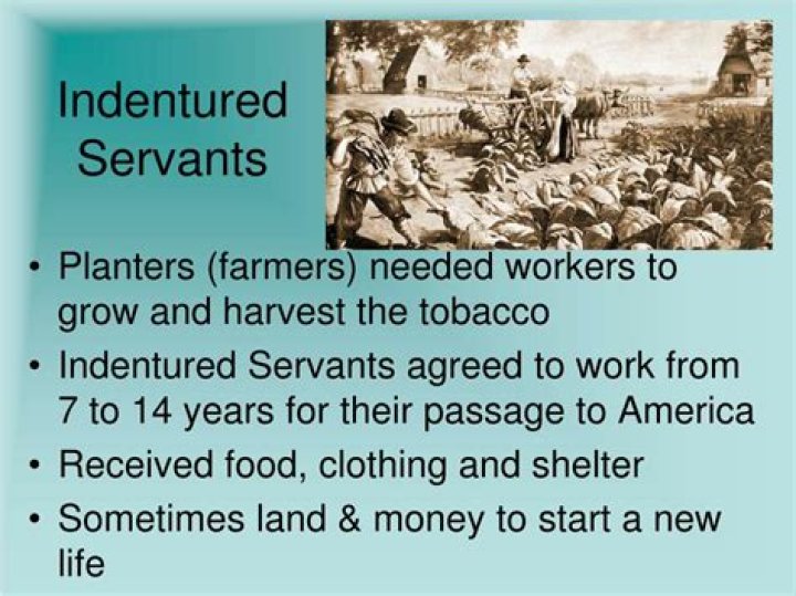 Who were indentured servants?