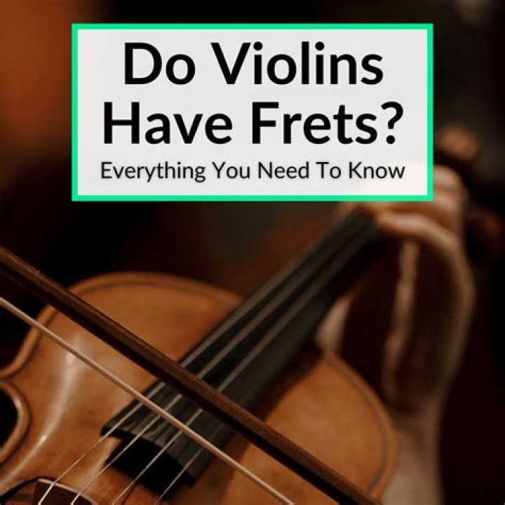 Why doesn't a violin have frets?