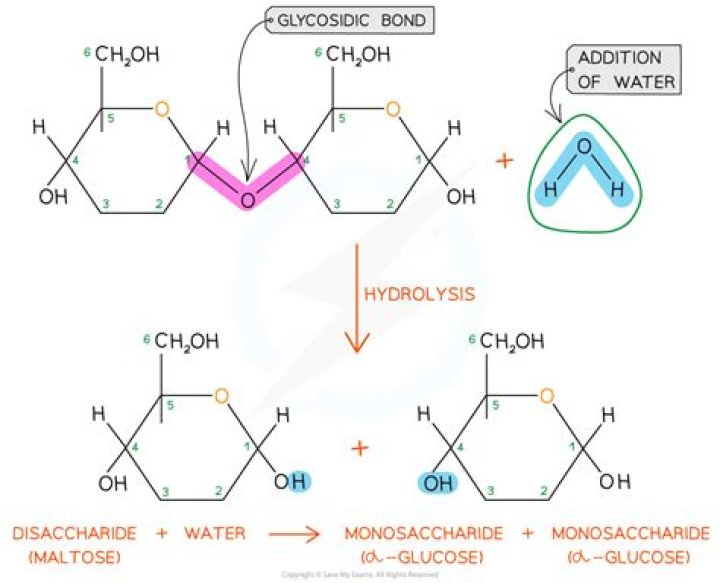 Why monosaccharides are soluble in water?
