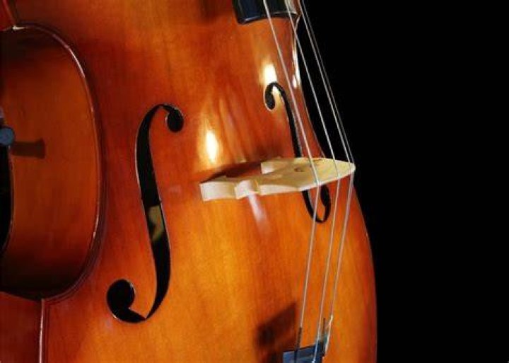 Why was the double bass invented?