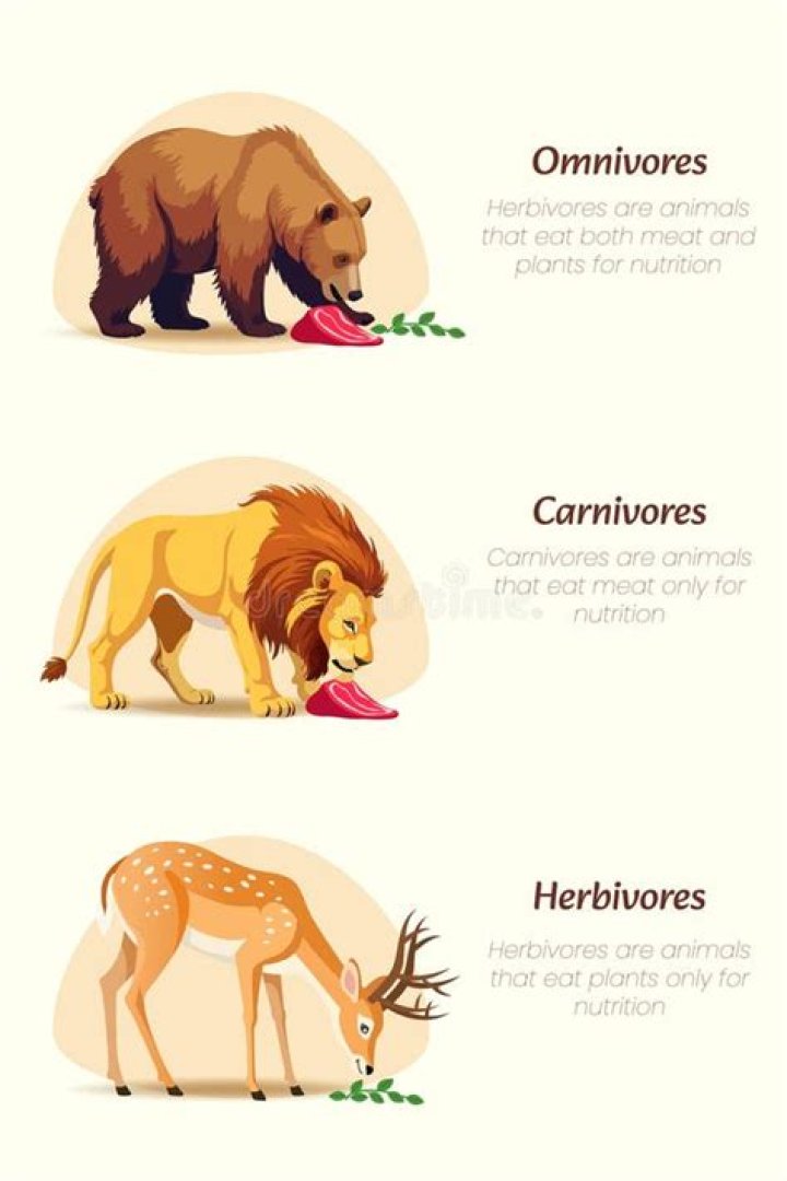 Would herbivores eat meat?